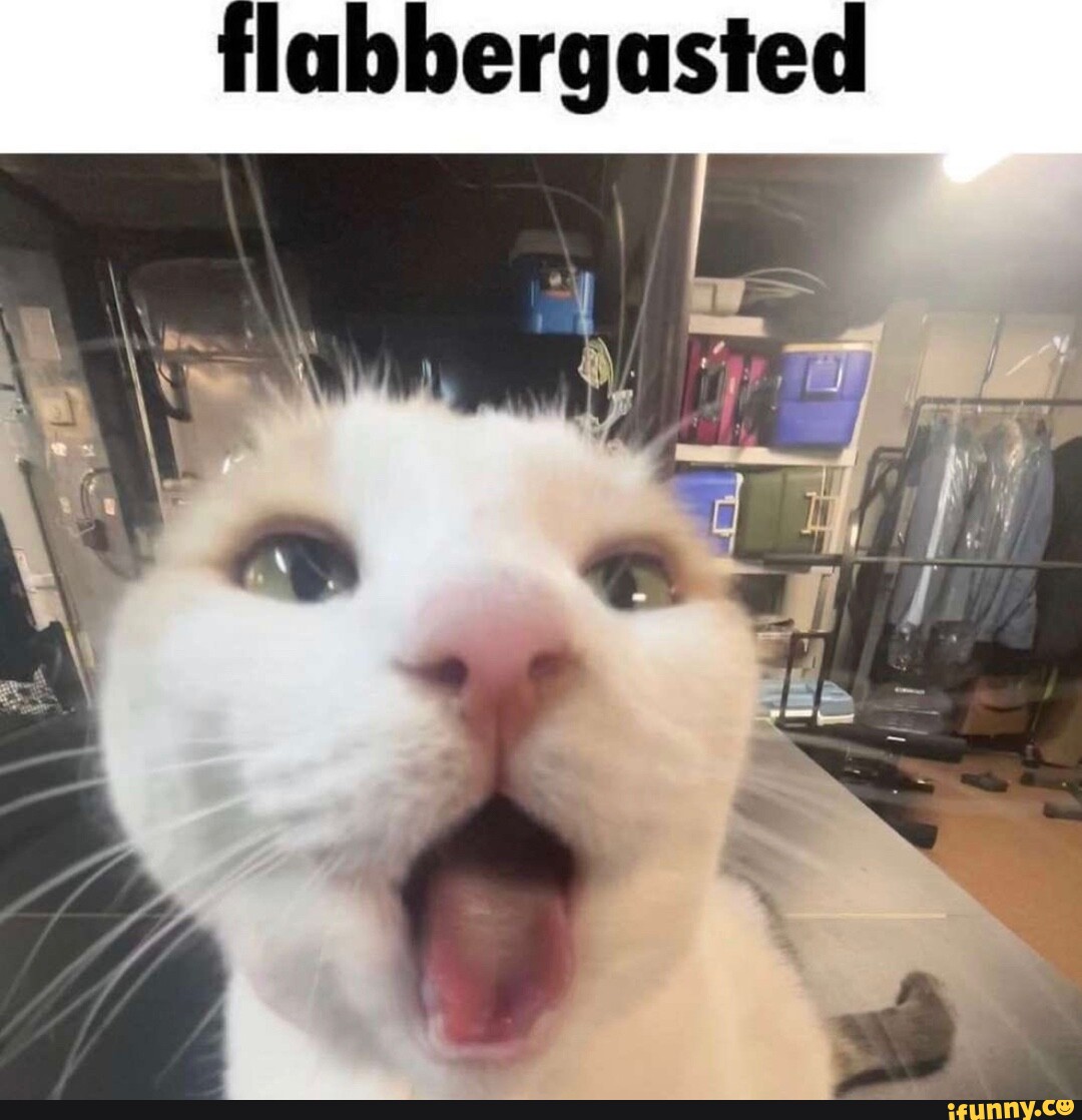 Flabbergasted - iFunny