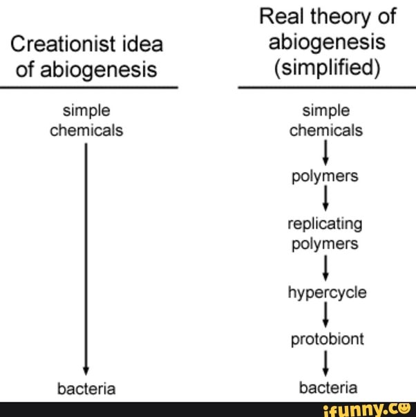 Real theory of Creationist idea abiogenesis of abiogenesis (simplified