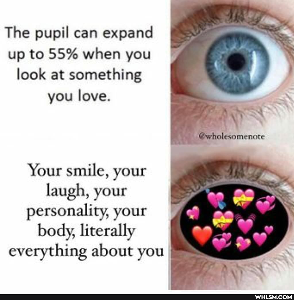 The pupil can expand up to 55% when you look at something you love.
Your smile, your laugh, your personality, your body, literally everything about you