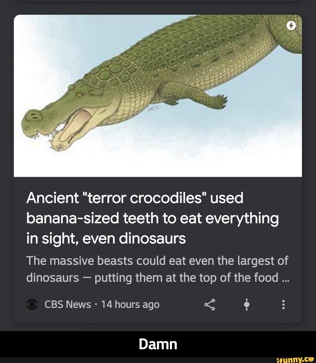 Ancient "terror crocodiles" used banana-sized teeth to eat everything in sight, even dinosaurs
The massive beasts could eat even the largest of dinosaurs - putting them at the top of the food
CBS News 14 hours ago
Damn - Damn