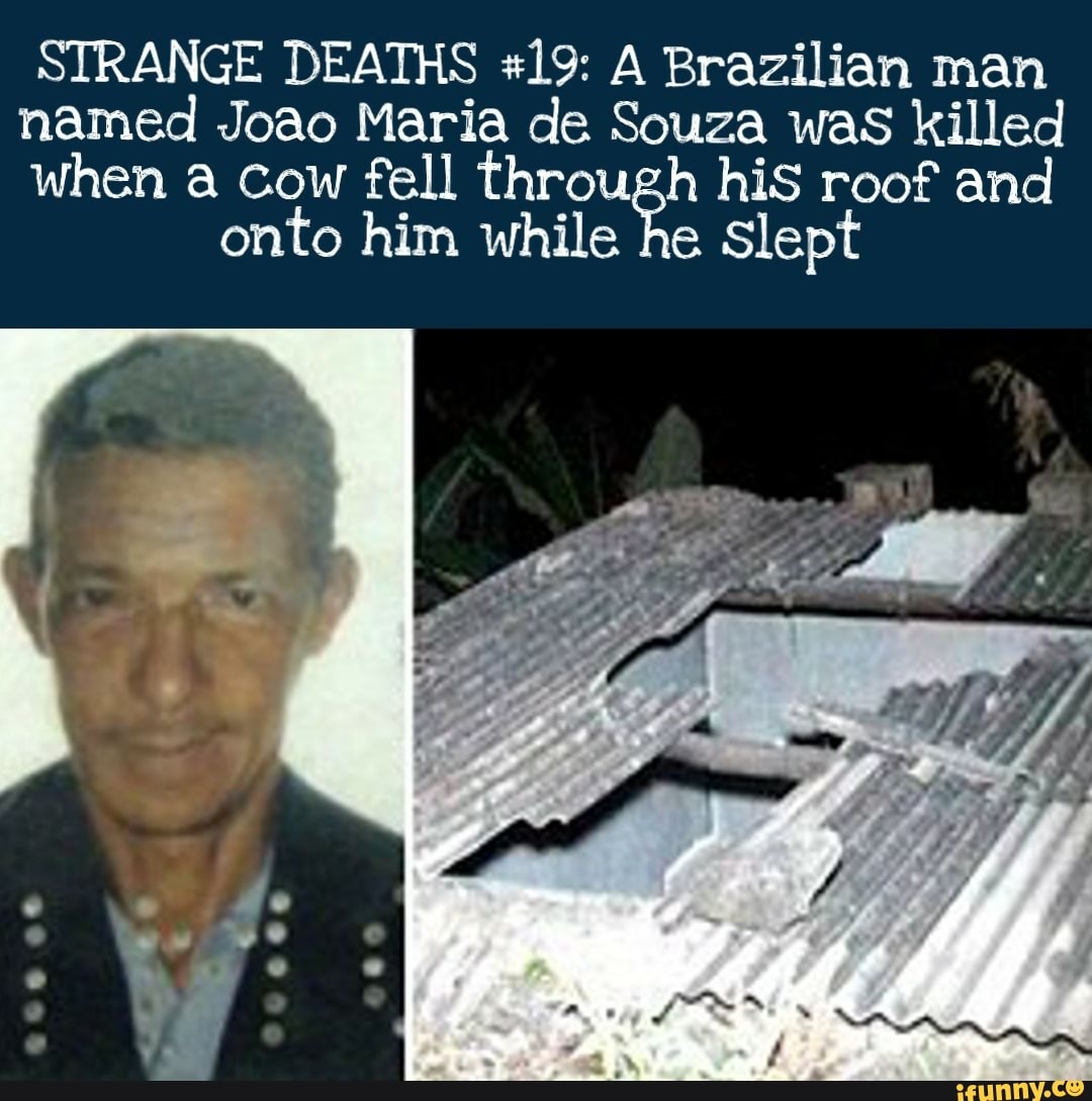STRANGE DEATHS #19: A Brazilian man
named Joao Maria de Souza was killed
when a Cow fell through his roof and
onto him while he
slept