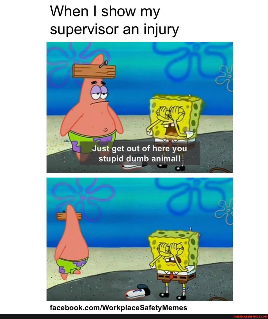 When show my supervisor an injury
Let out of here you stupid dumb animal!