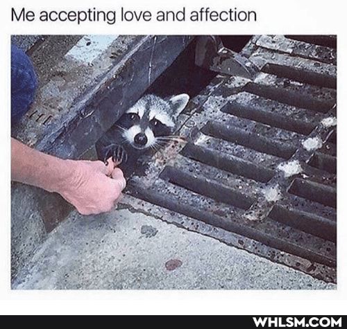 Me accepting love and affection