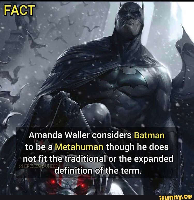Amanda Waller considers Batman to be aMetahuman though he does not fit the  traditional or the expanded definition of the term. - iFunny Brazil