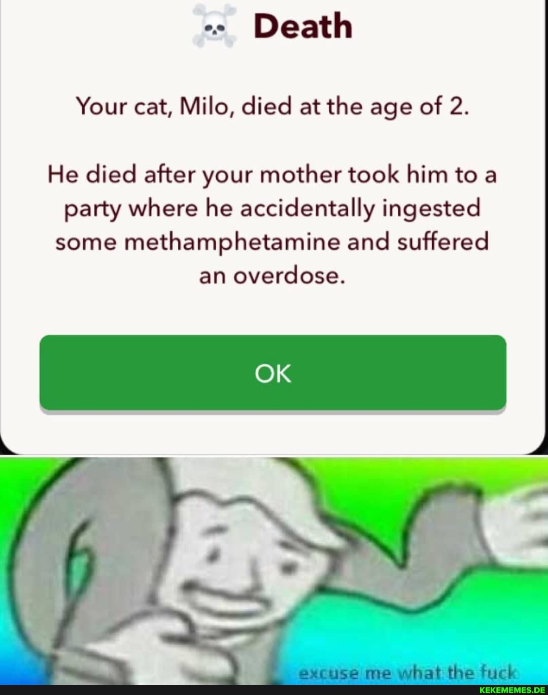 Death
Your cat, Milo, died at the age of 2.
He died after your mother took him to a party where he accidentally ingested some methamphetamine and suffered an overdose.
OK