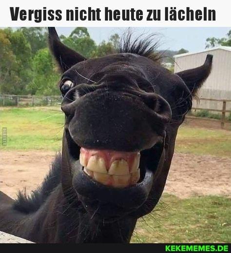 Vergiss nicht heute zu lächeln