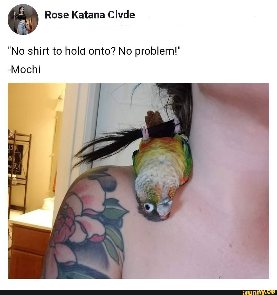 Rose Katana Clvde
"No shirt to hold onto? No problem!"
-Mochi