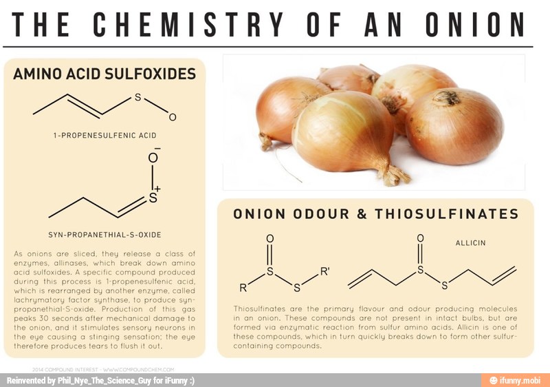 THE CHEMISTRY OF AN ONION AMINO ACID SULFOXIDES )