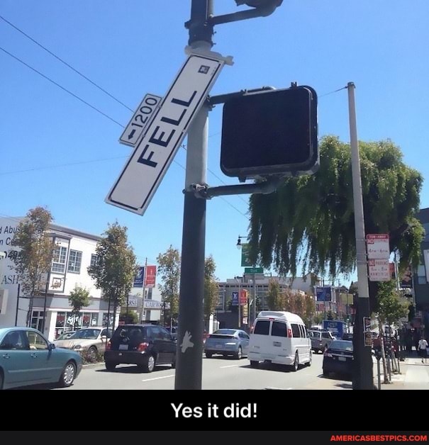 Yes it did! - Yes it did!