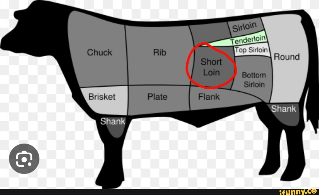 Brisket memes. Best Collection of funny Brisket pictures on iFunny