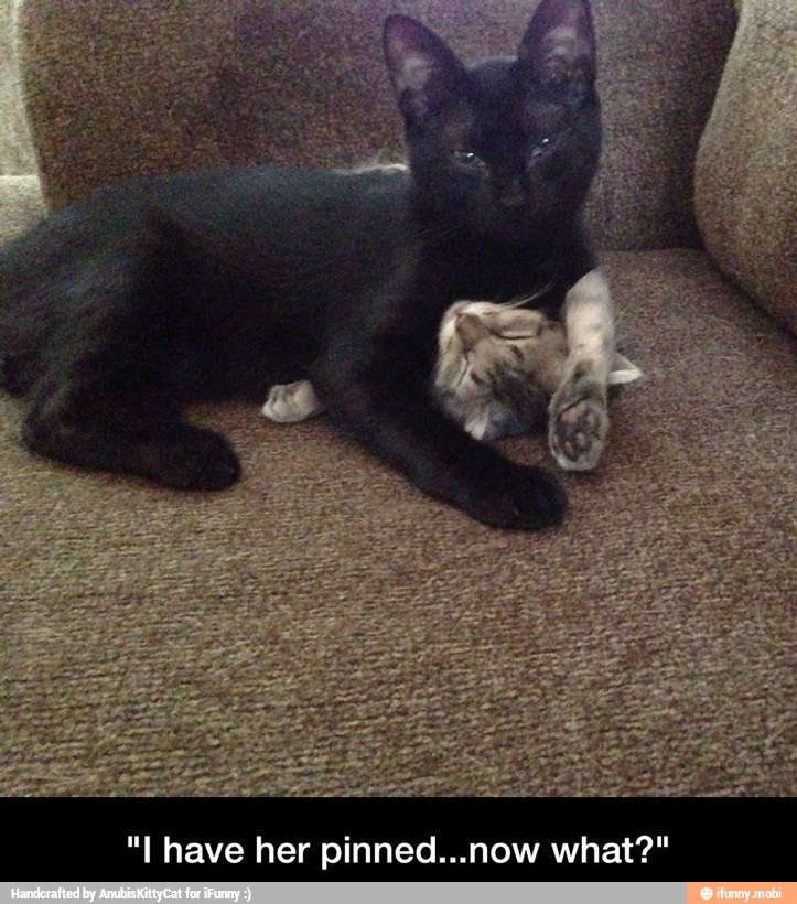 "I have her pinned...now what?" - "I have her pinned...now what?"
