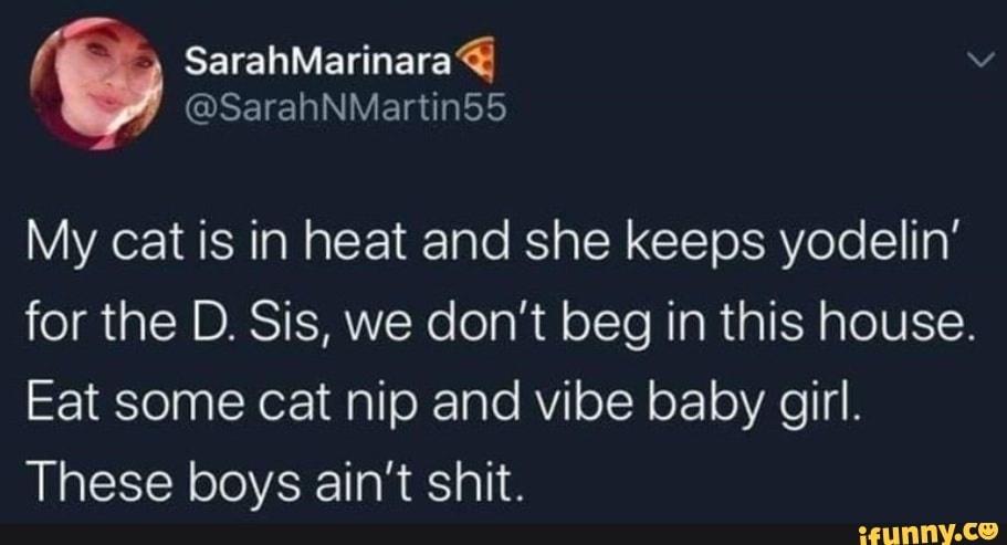 SarahMarinara&
My cat is in heat and she keeps yodelin' for the D. Sis, we don't beg in this house.
Eat some cat nip and vibe baby girl.
These boys ain't shit.