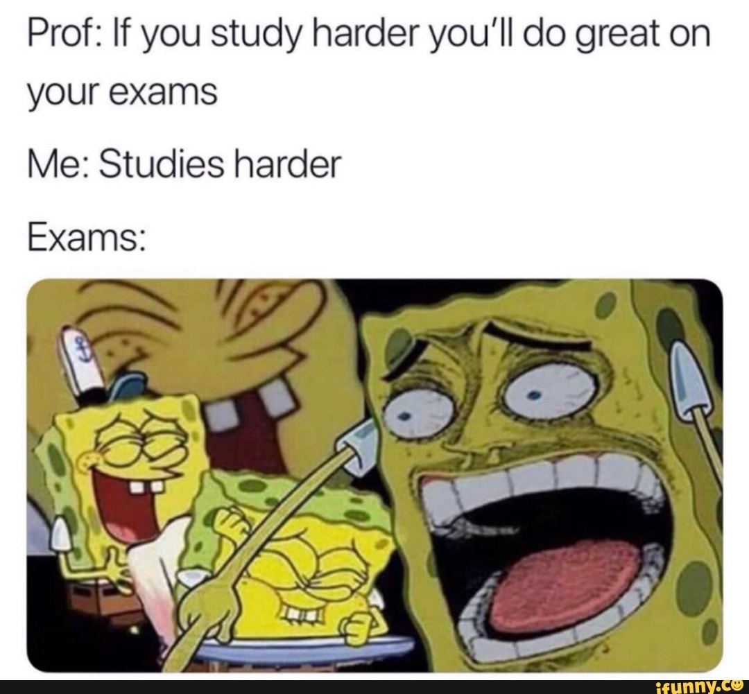 Prof If you study harder you’ll do great on your exams Me Studies