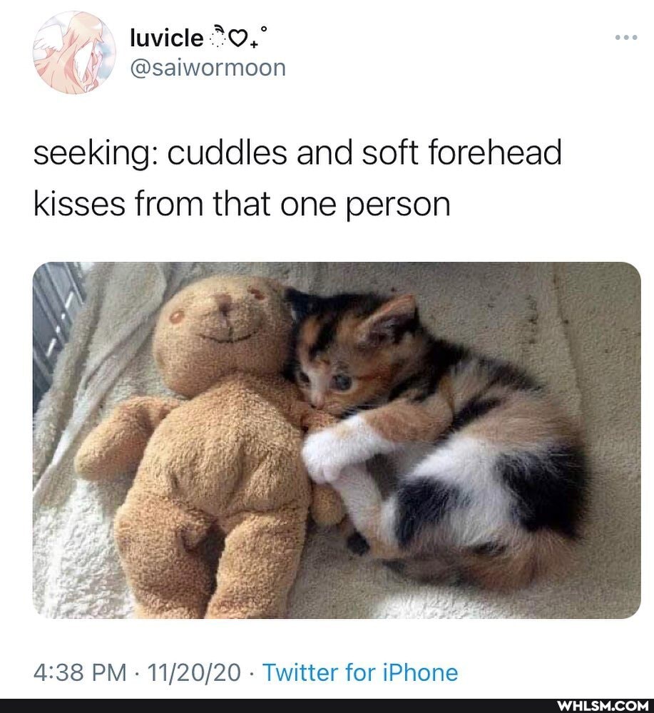 @saiwormoon
seeking: cuddles and soft forehead kisses from that one person
PM - - Twitter for iPhone