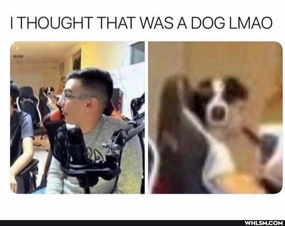 I THOUGHT THAT WAS A DOG LMAO
DOG LMAO