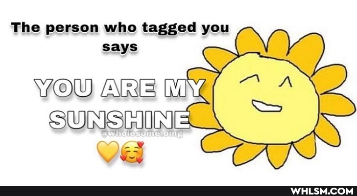 The person who tagged you says
YOU ARE
SUNSHINE