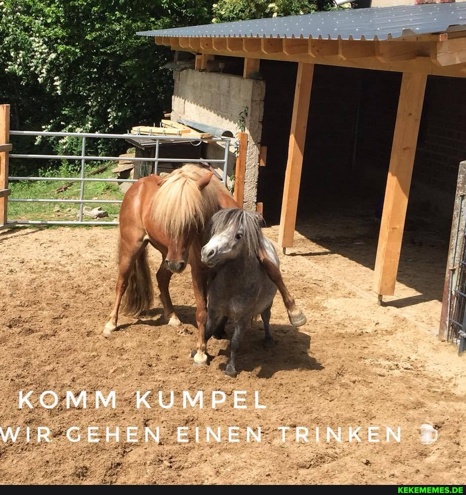 KOMM KUMPEL WIR GEHEN EINEN TRINKEN