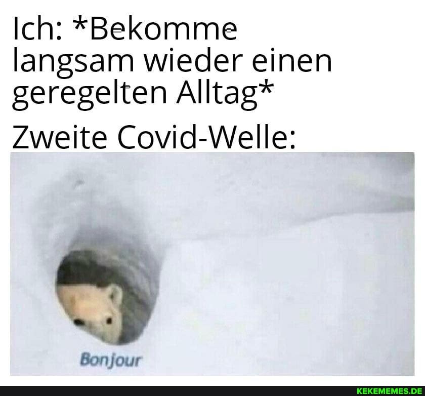 Ich: *Bekomme langsam wieder einen geregelten Alltag*
Zweite Covid-Welle:
Bonjour