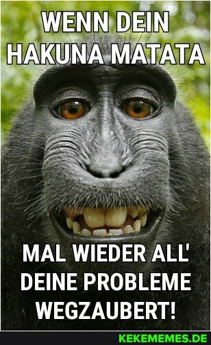 WENN DEIN HAK
MAL WIEDER ALL DEINE PROBLEME WEGZAUBERT!