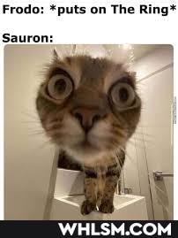 Frodo: *puts on The Ring*
Sauron: