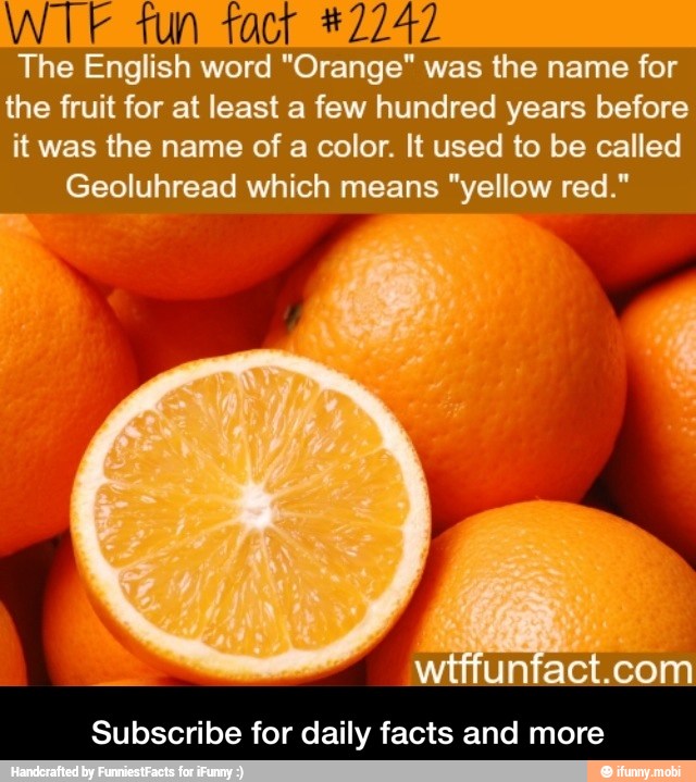 WTF tun tact #2242
The English word "Orange" was the name for
the fruit for at least a few hundred years before
it was the name of a color. It used to be called
Geoluhread which means "yellow red."
com
Subscribe for daily facts and more - Subscribe for daily facts and more