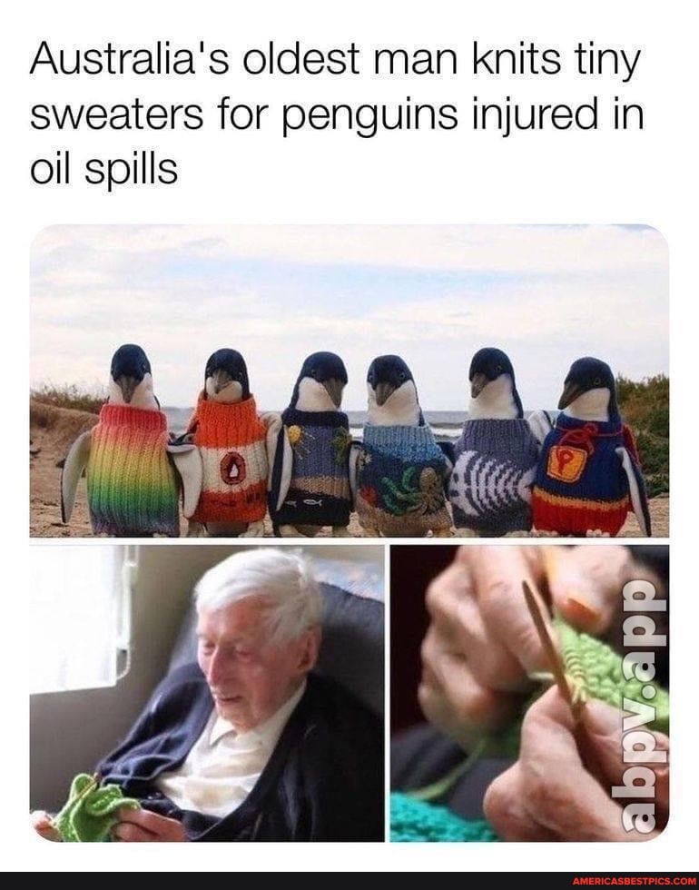 Australia's oldest man knits tiny sweaters for penguins injured in oil spills