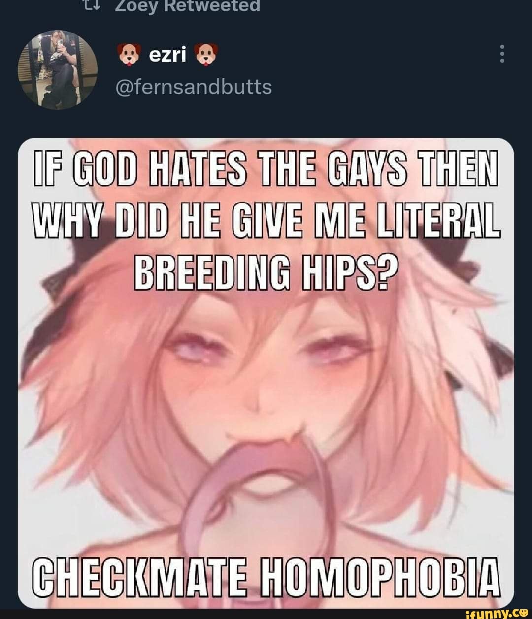 if-god-hates-the-gays-then-why-did-he-give-me-literal-breeding-hips