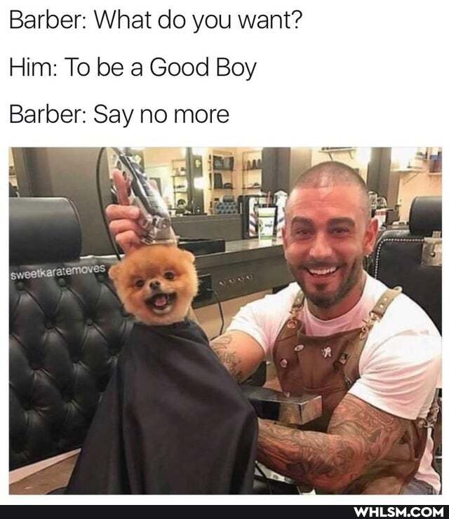 Barber: What do you want?
Him: To be a Good Boy
Barber: Say no more