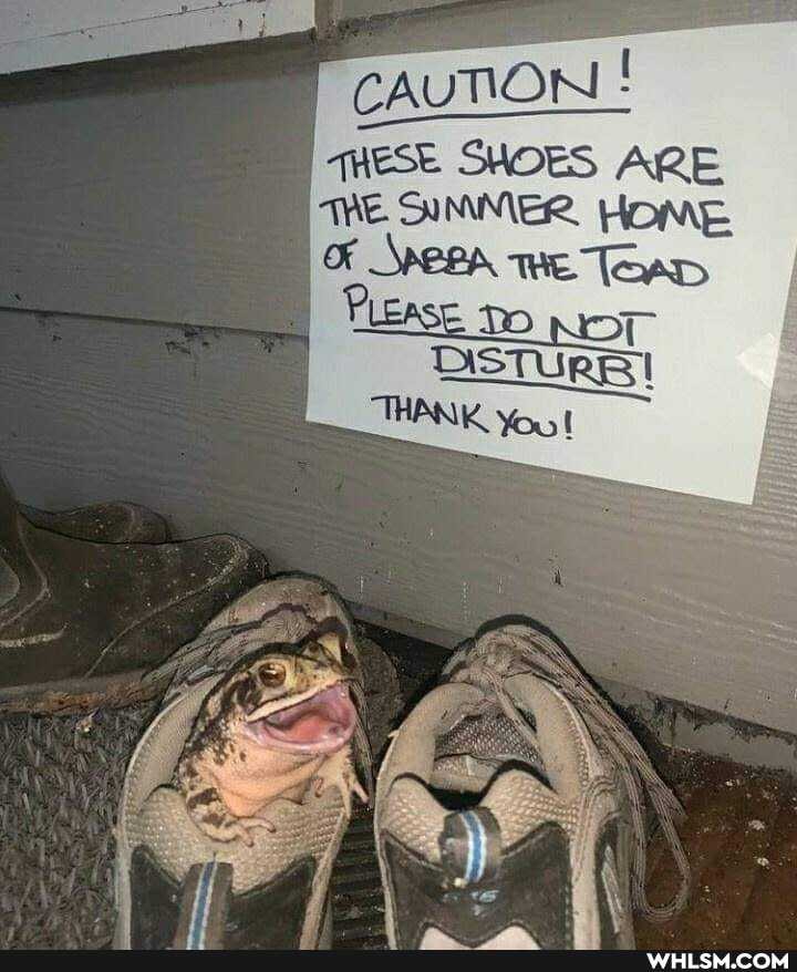 CAUTON ESE ARE