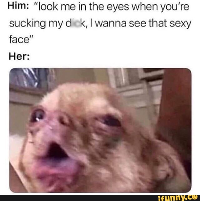 Him: "look me in the eyes when you're
sucking my dk, I wanna see that sexy
face"