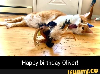 happy-birthday-oliver-ifunny