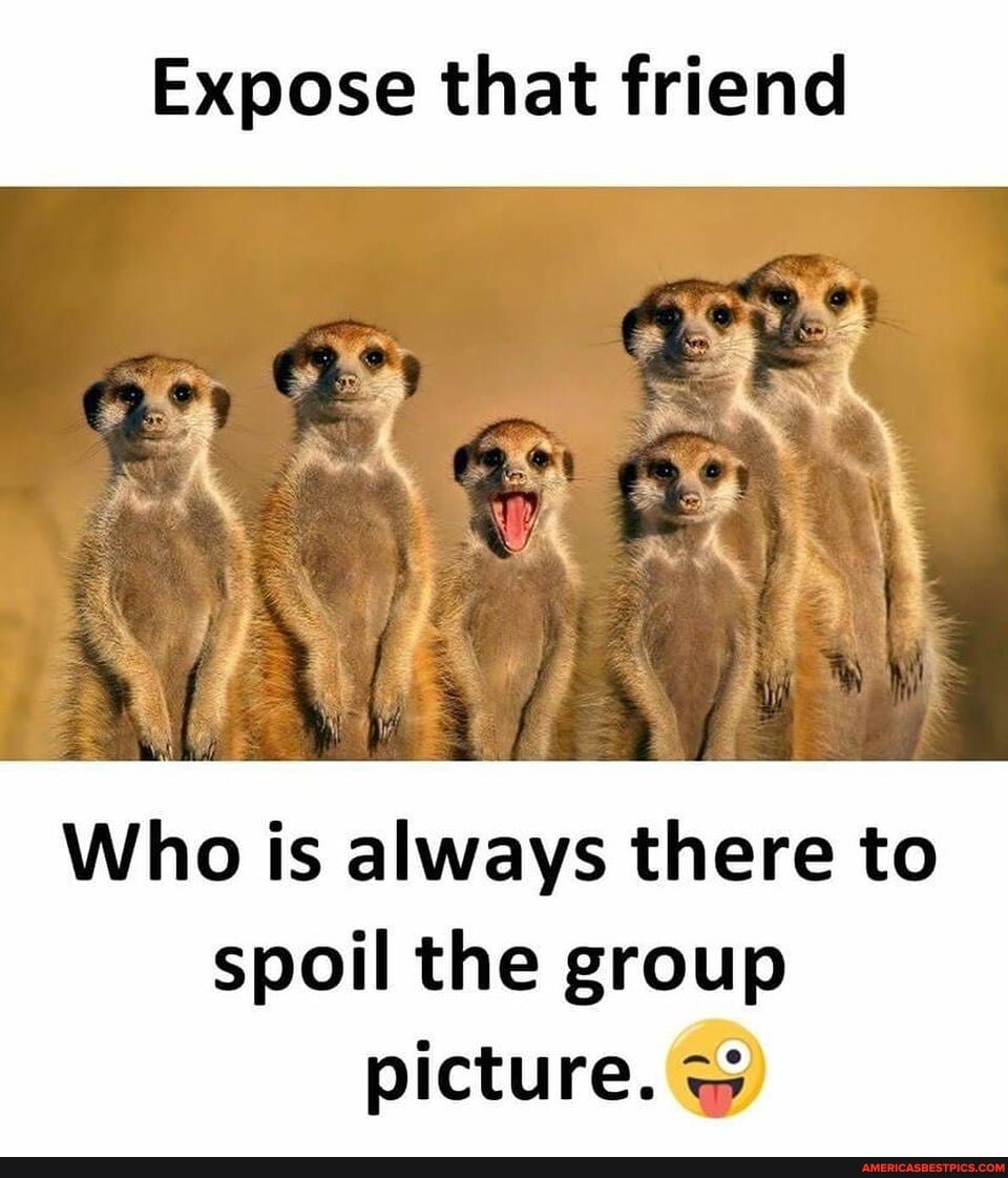 Expose that friend
Who is always there to
spoil the group picture.