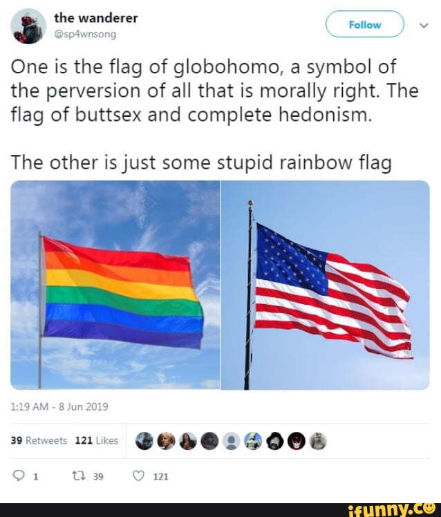 The Wanderer ( Follew ) V @sp4wnsong One Is The Flag Of Globohomo, A 