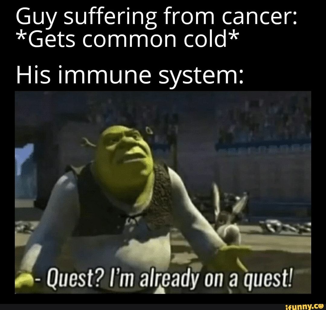 Guy suffering from cancer:
*Gets common cold*
His immune system:
- Quest? I'm already on a quest!