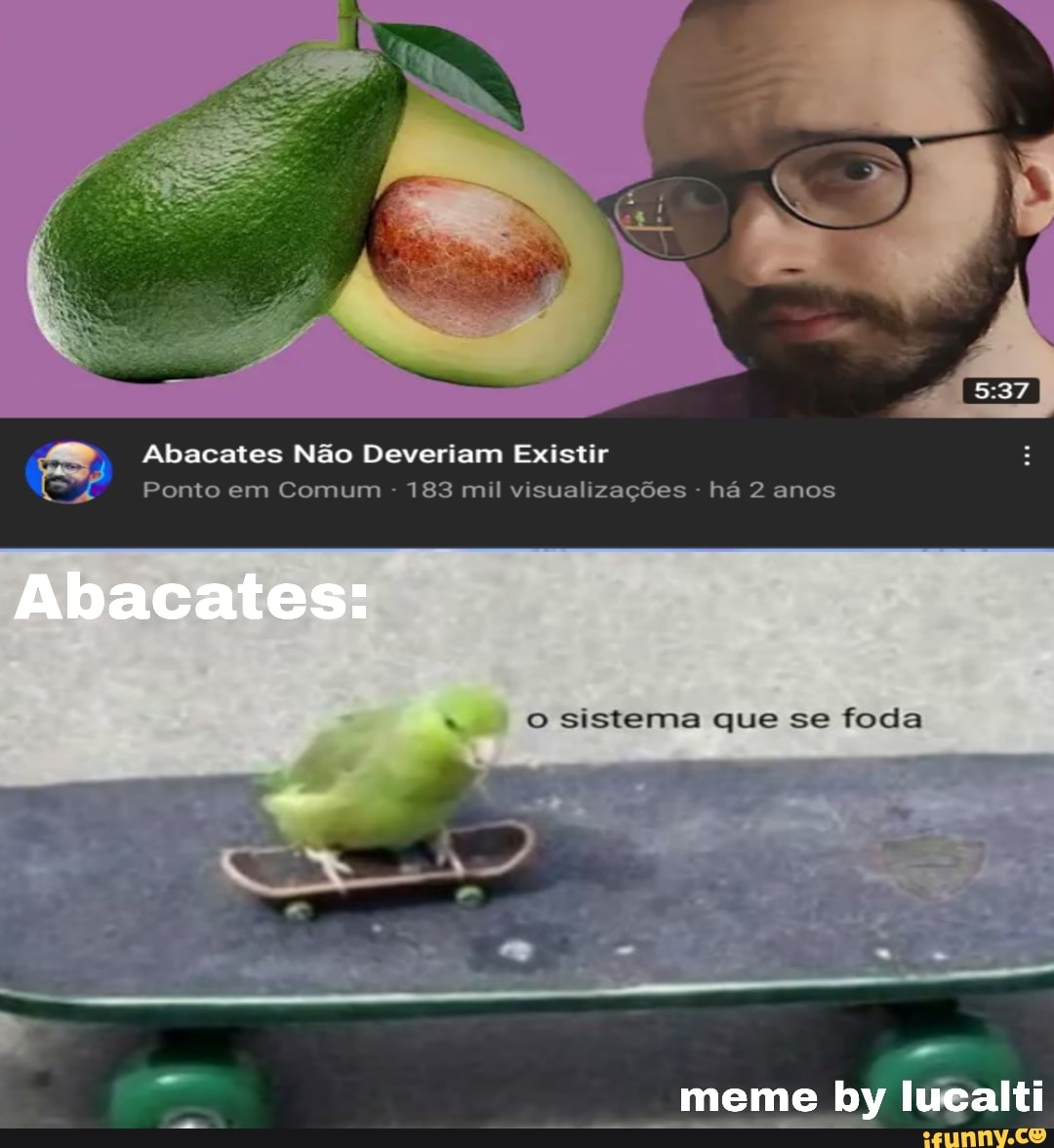 Abacates Não Deveriam Existir
Ponto em Comum - 183 mil visualizações - há 2 anos
Abacates:
o sistema que se foda
meme by lucalti