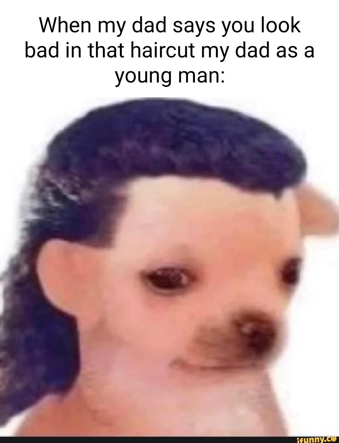 Meme Hair Wig Jokes Long Hair Hair Extensions Meme Hair Extensions Jokes  New Arrivals, image size:1080x1412