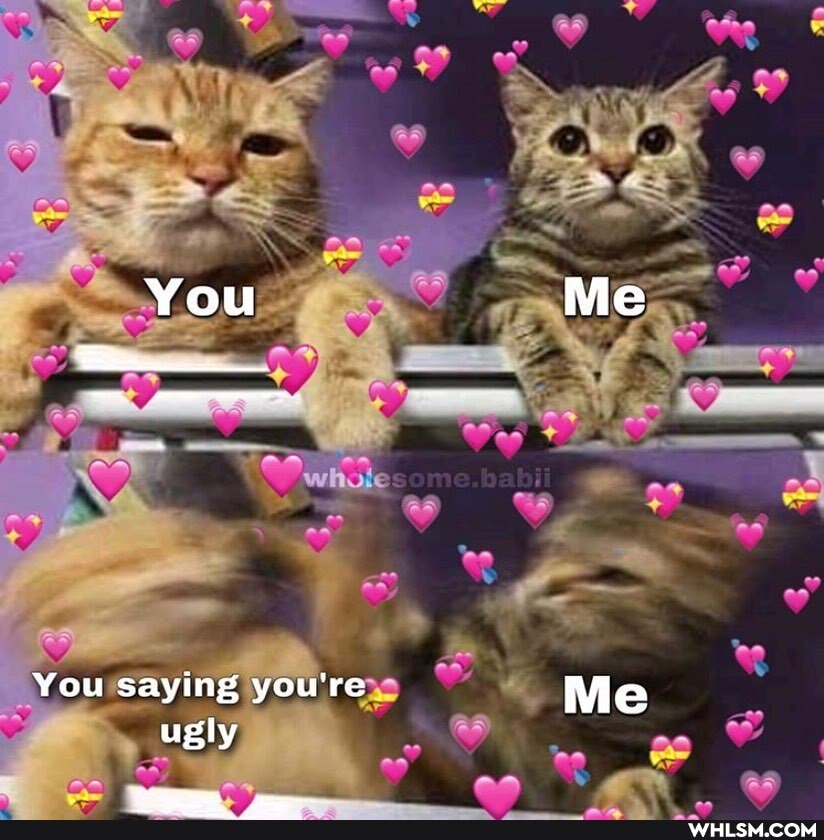 You Me
You saying you're Me ugly