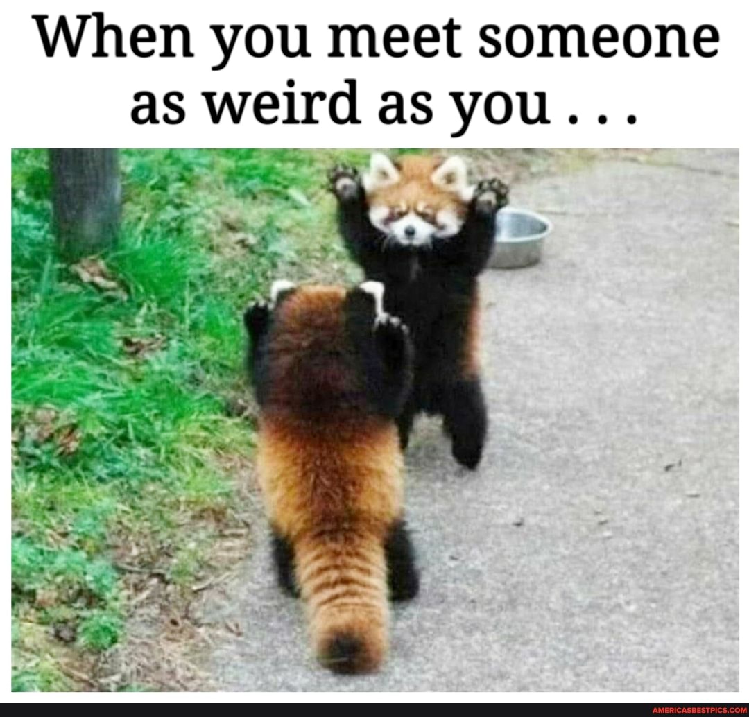 When you meet someone as weird as you...
mm