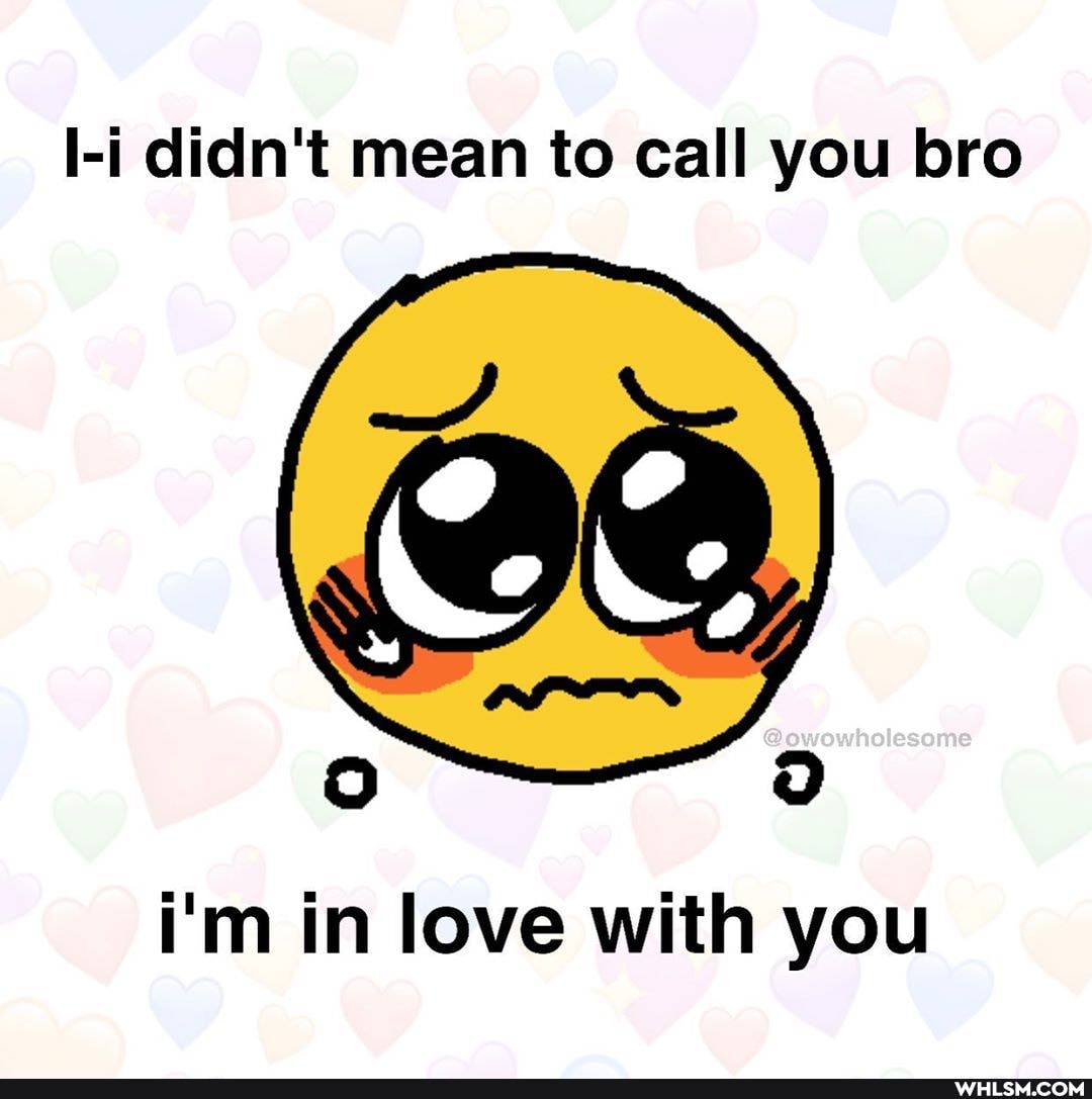 l-i didn't mean to call you bro
I'm in love with you