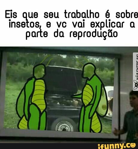 Eis que seu trabalho é sobre
insetos, e vc vai explicar q
part e da reprodução