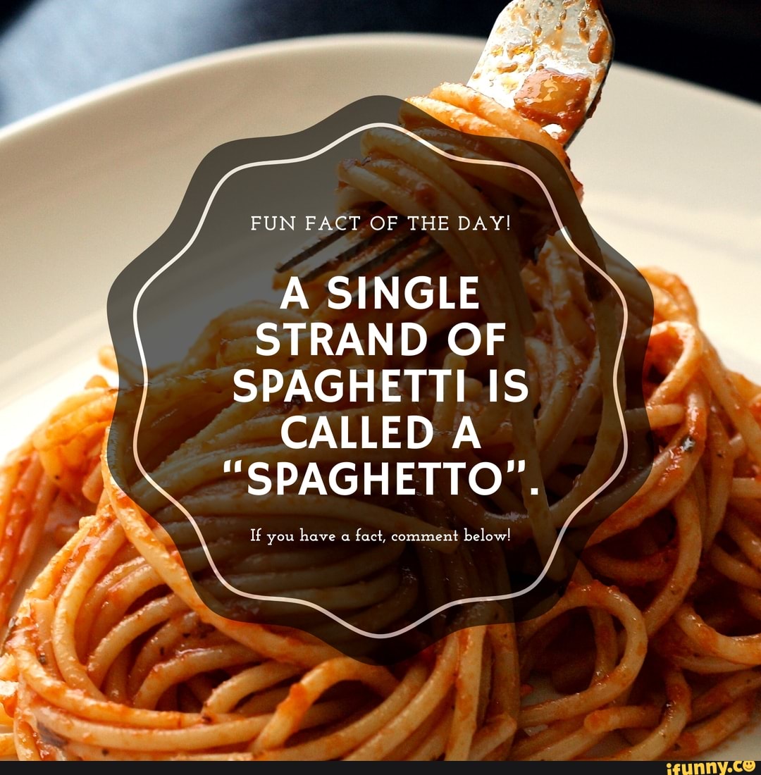 Fun fact of the day a single strand of spaghetti is le called a