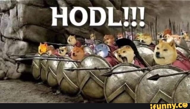 doge, elonmusk, elon, dogecoin, hodl