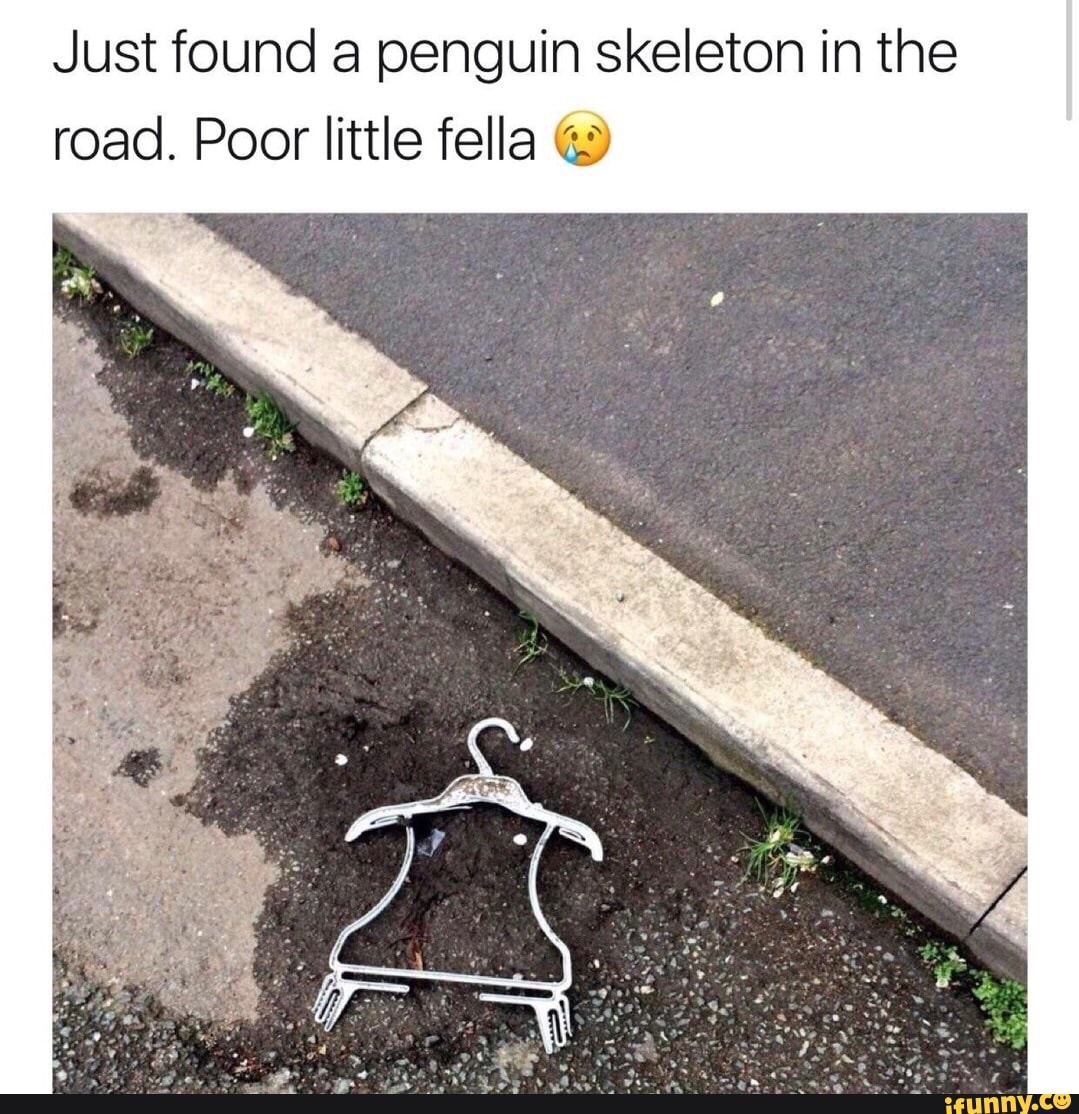 Just found a penguin skeleton in the road. Poor little fella