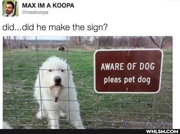 MAX IM KOOPA
meakoopa
did...did he make the sign?
AWARE OF DOG pleas pet dog
