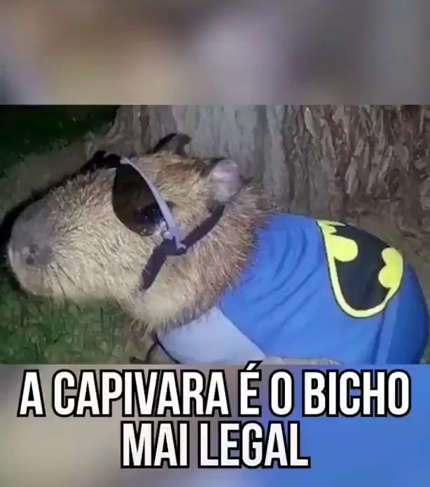 Capivara agiota - iFunny Brazil
