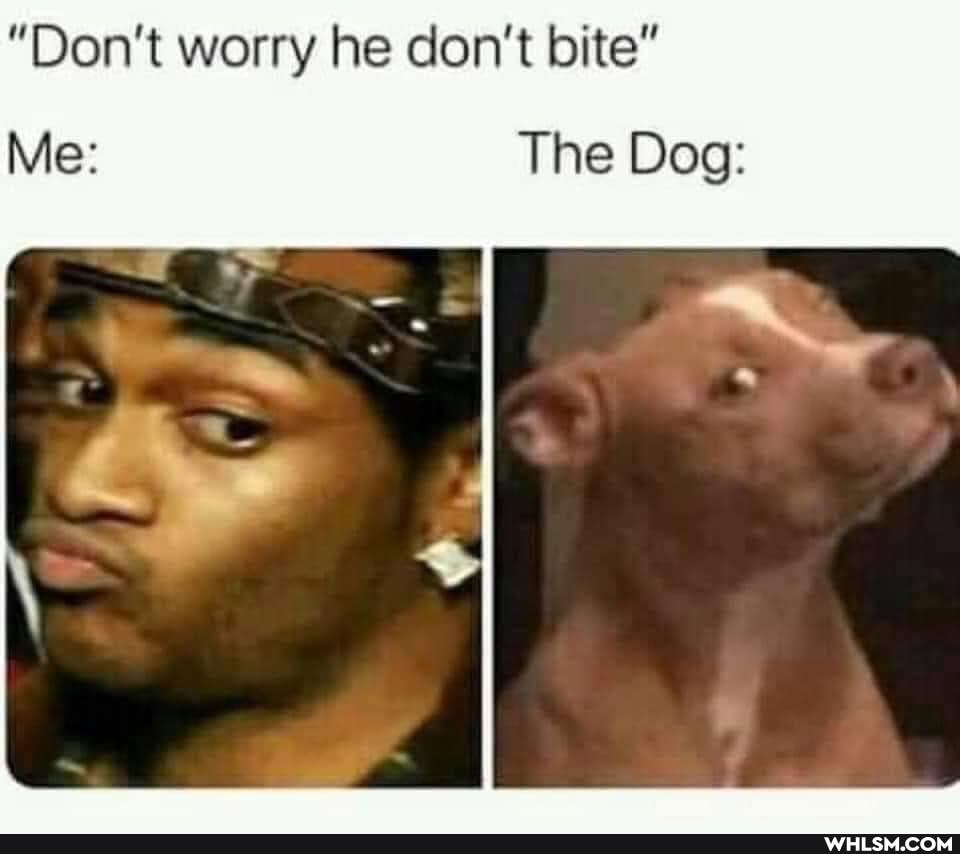 "Don't worry he don't bite"
Me: The Dog: