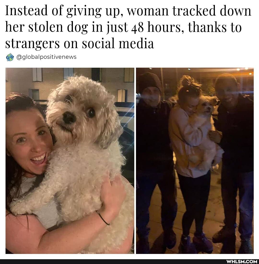 Instead of giving up, woman tracked down her stolen dog in just 48 hours, thanks to strangers on social media
@globalpositivenews