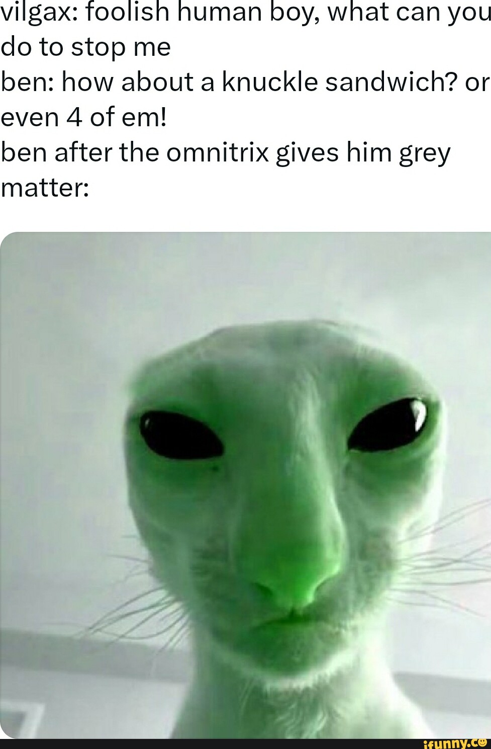 Кот пришелец мем. Коты инопланетяне. Коты инопланетяне. Космические котята. Нло.