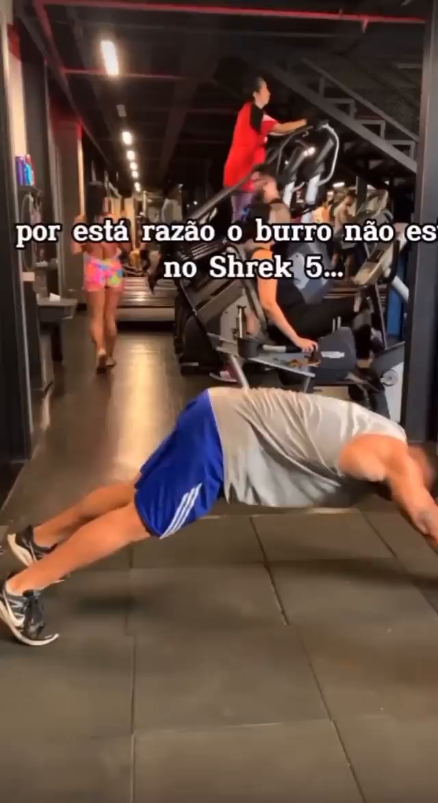 O Shrek O Burro explicando perguntando Que ainda se já tá distante chegou -  iFunny Brazil