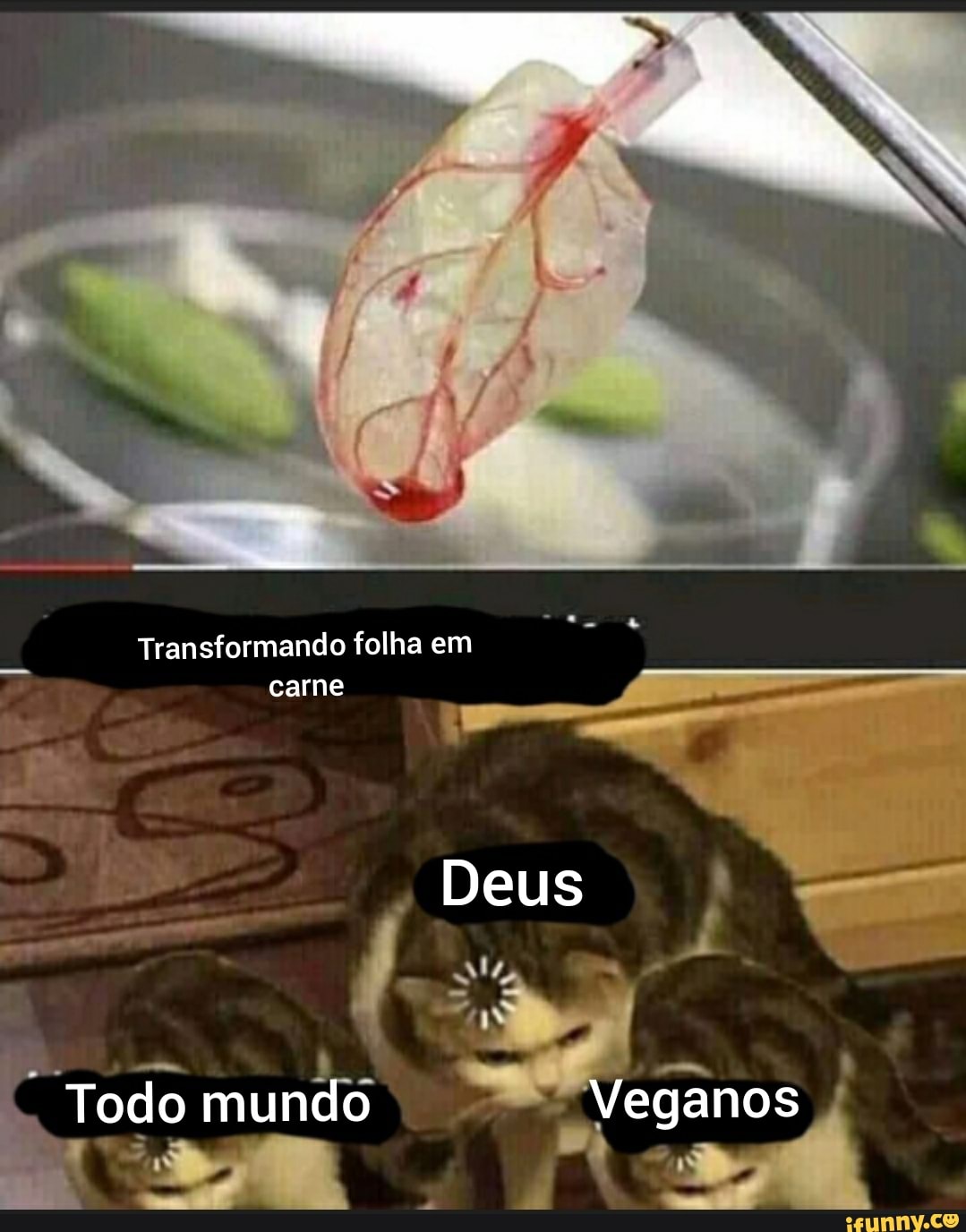 Transformando folha em
carne
mm +
Todo mundo
Deus
ga
nos